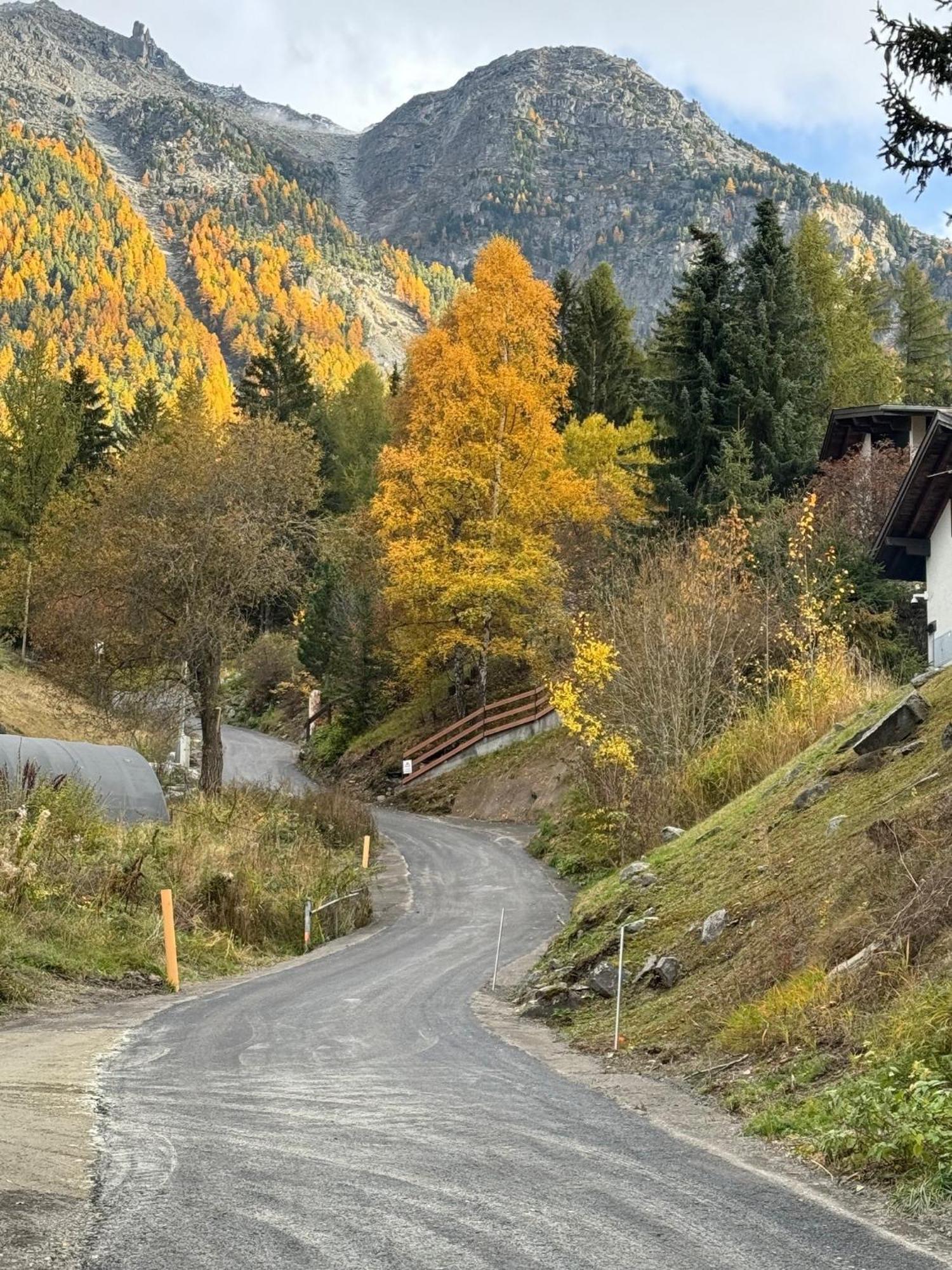 Chalet Charming Grachen Bagian luar foto