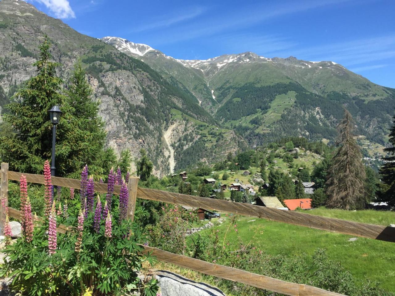 Chalet Charming Grachen Bagian luar foto