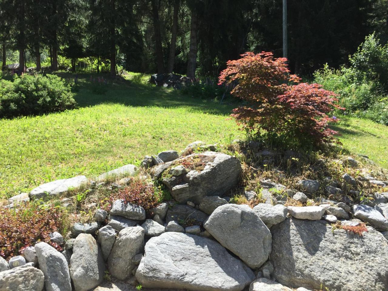 Chalet Charming Grachen Bagian luar foto
